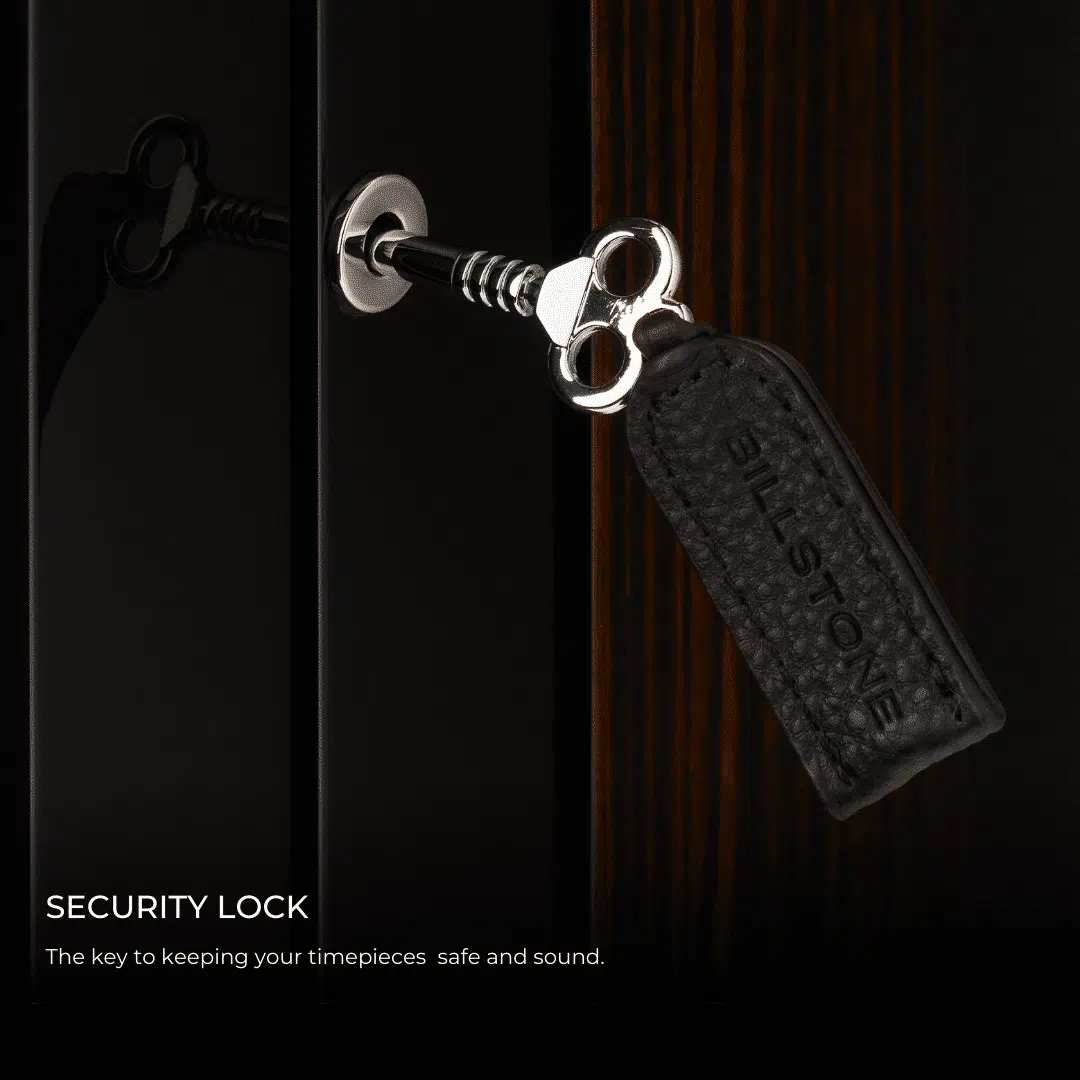 Paragon 6 - Watch Winder 2