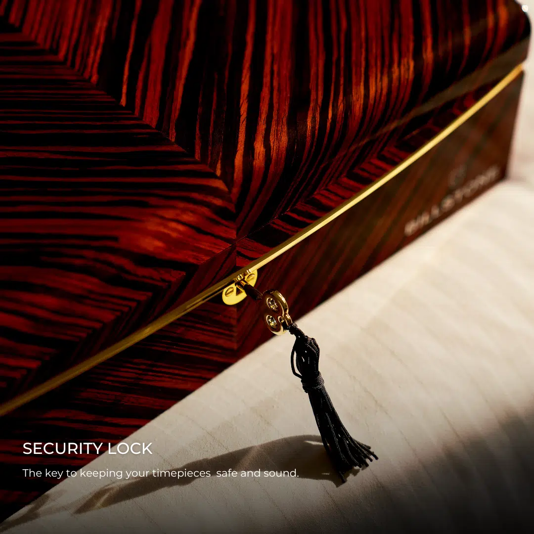 Solstice 6 - Watch Box 4